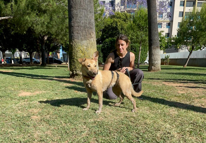 Lenguaje canino